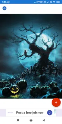 Halloween HD Wallpapers android App screenshot 4